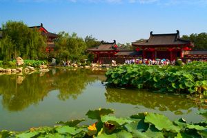 厦门国旅陕西团【7-8月逐鹿中原】西安+河南 国旅电话