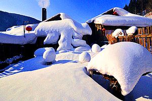 1月厦门到哈尔滨【冰雪蘑菇城堡】雪乡、梦幻家园五日 国旅电话