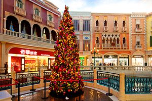 厦门国旅港澳团【7-8月港澳精品双飞四日游】国旅电话