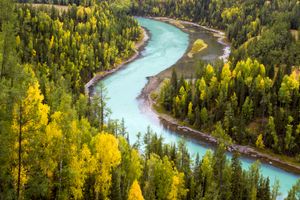 厦门中国国旅【6月纵横西域】天池、喀纳斯双飞10日 国旅电话