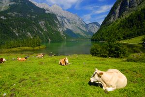 澳洲旅游【澳洲大堡礁9天精彩之旅】 国旅电话