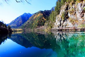 厦门到四川旅游【5月熊猫传奇】成都+峨眉山+乐山+灌县5日游