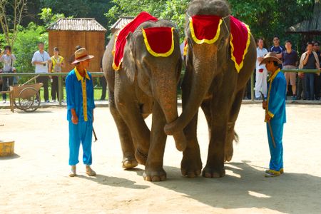 厦门中国国旅【我的2016】昆明、大理、丽江6日游 国旅电话
