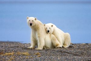 厦门国旅【加拿大、超值双堡、维多利亚10日】国旅电话