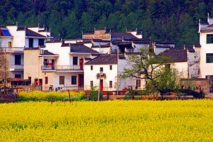 厦门中国国旅【金牌E线】婺源、三清山、南昌五日 国旅电话