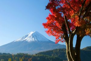 厦门国旅【恋恋枫情】 北海道东京红叶温泉六日游 国旅电话