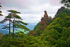 福建周边游【晋江五店市+洛阳桥、博物馆一日游】国旅电话