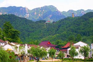厦门中国国旅【莲花佛国】九华山、大愿文化园3日 国旅电话