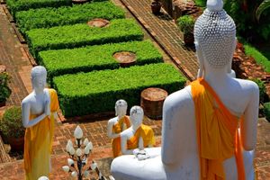 泰国旅游【泰象往】曼谷.芭提雅.象岛七日 国旅电话