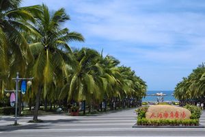 福建出发【海南环游西沙4-6天】旅游团线路合集