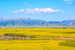 厦门到新疆旅游【西北大环线】新疆、甘肃、青海13日游
