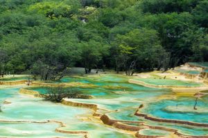 S1九寨沟旅游_厦门到四川成都、九寨沟黄龙六日游 国旅电话