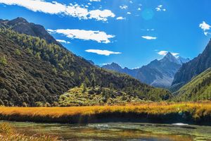 厦门到四川游【天府故事】成都+峨眉山+黄龙溪5日 国旅电话