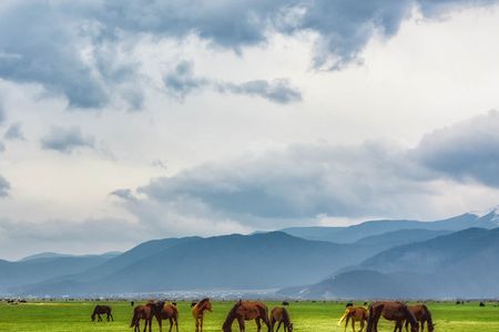 丽江自由行价格【梦景丽江】直飞丽江、大理、香格里拉7日游