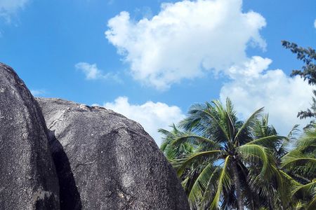 海南轻奢旅游团-尊贵之旅三亚往返5日游