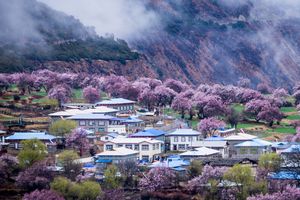 【青藏诱惑】西宁+青海湖+日月山+金沙湾+四飞10日国旅电话