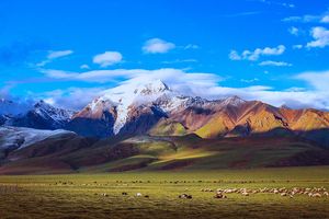 【尊享青藏】青海湖+拉萨+纳木措+西藏林芝三飞8日厦门旅行社