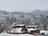 日本精选之旅【12月探秘之旅】日本白川乡合掌村六日游