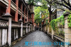 厦门周边游_乌山革命区、红树林、将军山枇杷之乡两日 国旅电话