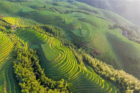 厦门到桂林旅游报价【桂林尊品双飞四日游】国旅电话