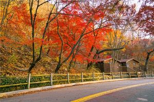 厦门到韩国旅游【首尔+济州岛四飞六日游】国旅电话
