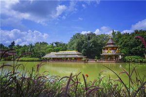 厦门中国国旅【6月探秘香巴拉】昆大丽+香格里拉6日