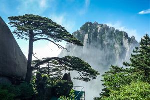 5月福建往返【黄山纯玩3-4天】旅游团线路合集