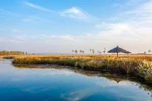 5月福建往返【宁夏纯玩5-6天】旅游团线路合集