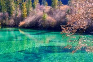 四川旅游团【精品线路推荐】成都九寨黄龙峨眉山乐山5-8日游