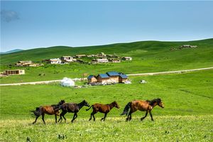 厦门到新疆旅游_兰州、敦煌、嘉峪关双飞9日 国旅电话
